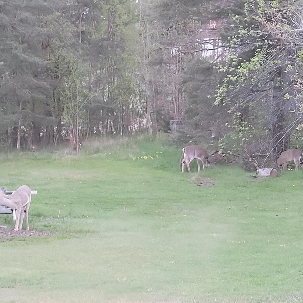 Paeivaekulma Villa Naantali Kültér fotó